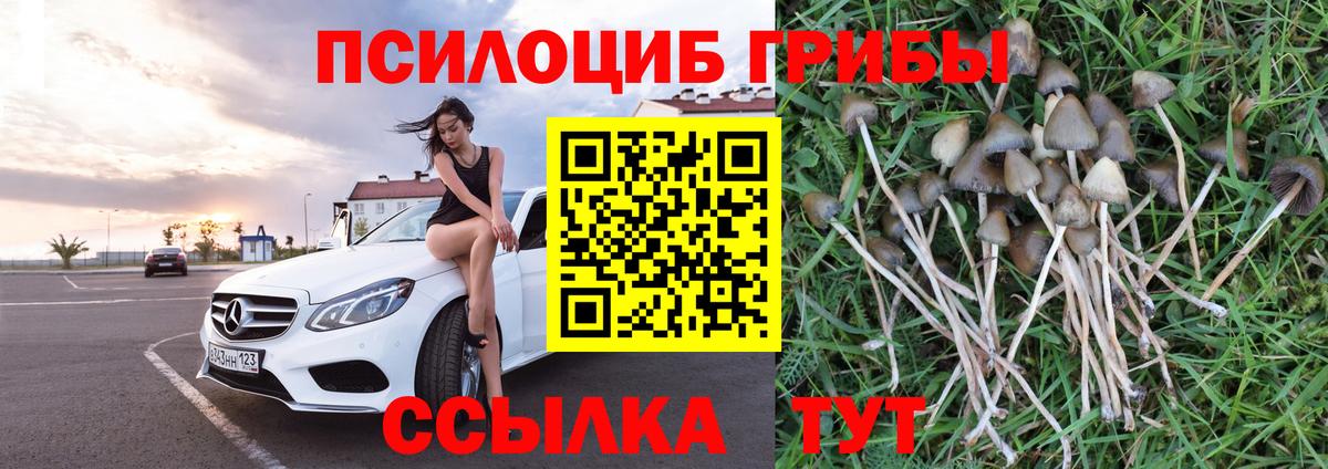 Южноуральск  Псилоцибиновые грибы Magic Shrooms  Вход с VPN  наркошоп  Галлюциногенные грибы прущие грибы 